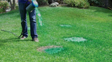 Gras Spray
