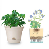 Zelfwaterende Plantenpot