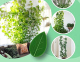 Blader Clips (10 Stuks!) - Ideaal voor klimplanten en kabels!