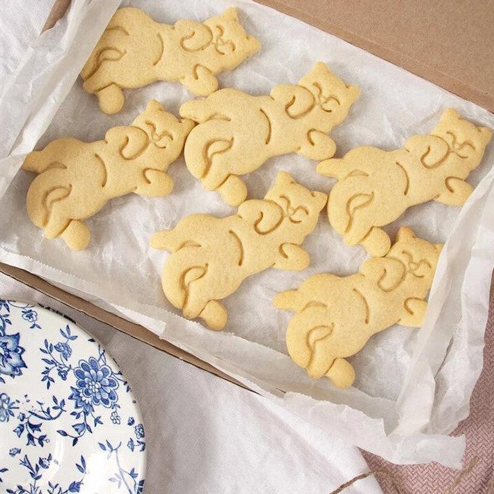 Leuke Katten Koekjes Vormen