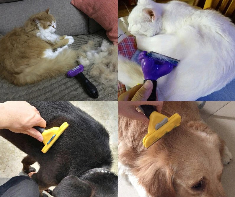 (Onder)Haar Dieren Kam - Voor minder Haren in Huis!