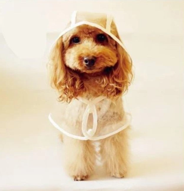 Honden Poncho™ - Houd je hond beschermd in de regen!