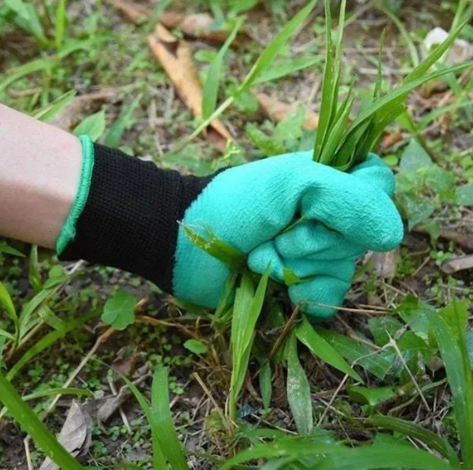 Tuinier Handschoenen