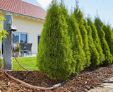 Automatische Tuinberegening Set™