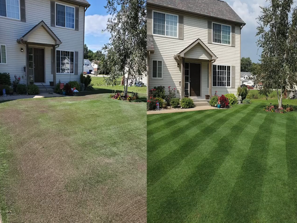 Gras Spray