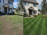 Gras Spray