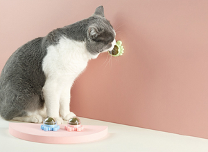 Kattenkruid Balletjes (3 Stuks!)