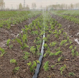 Complete Tuin Besproeiing Set 'Pro'