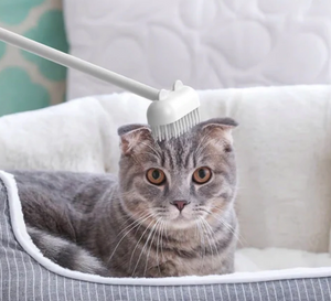 Huisdier Kam Speeltje "Happy Cat"