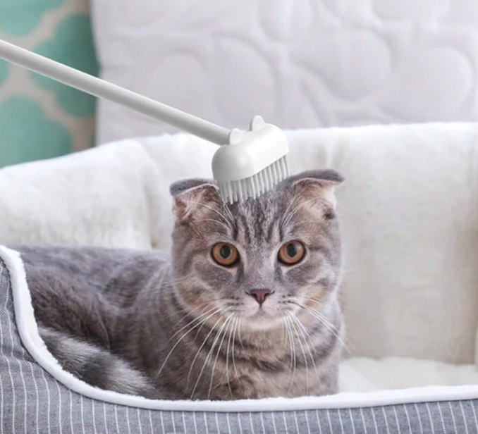 Huisdier Kam Speeltje "Happy Cat"