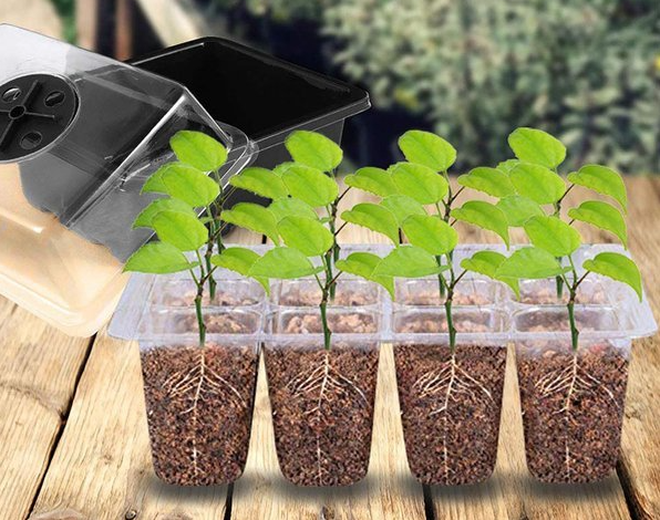 Mini Groei Kas (Voor Planten, Groenten, Fruit en meer!)