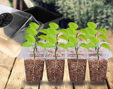 Mini Groei Kas (Voor Planten, Groenten, Fruit en meer!)