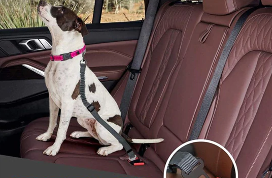 Honden Autogordel "Dog Deluxe"