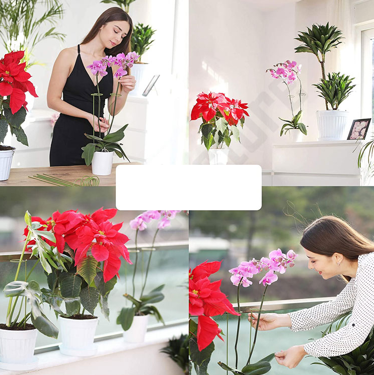 Indoor Planten Stabilisator (10 Stuks!)