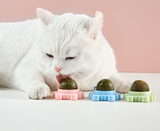 Kattenkruid Balletjes (3 Stuks!)