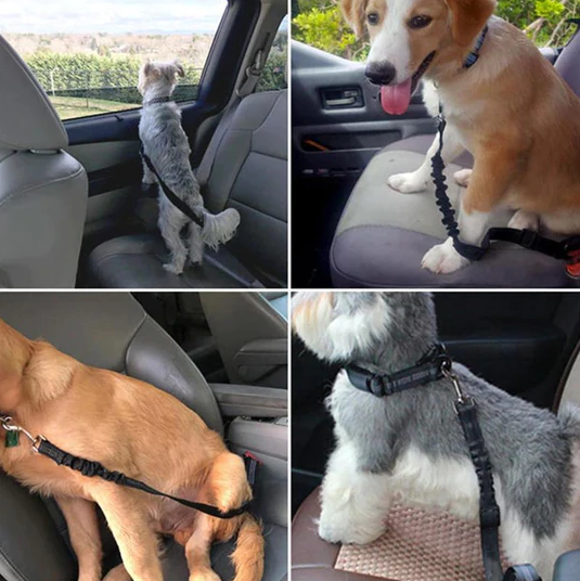 Honden Autogordel "Dog Deluxe"