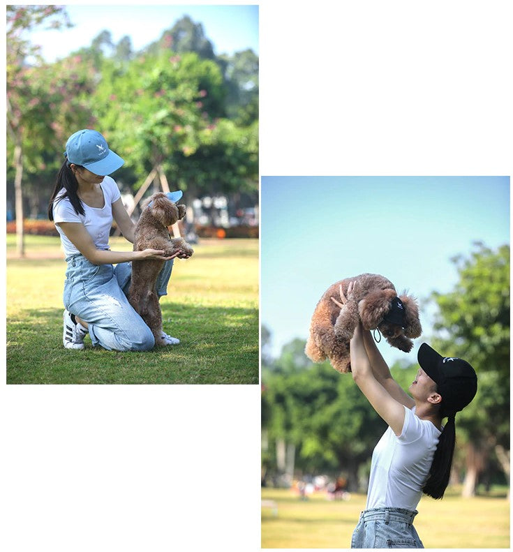 Honden Pet™ 2.0 - Bescherm de Ogen van je Hond!