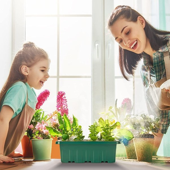 Mini Groei Kas (Voor Planten, Groenten, Fruit en meer!)