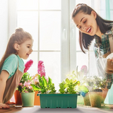 Mini Groei Kas (Voor Planten, Groenten, Fruit en meer!)