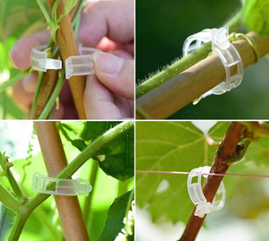 Planten Clips (50 of 100 Stuks)