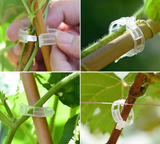 Planten Clips (50 of 100 Stuks)