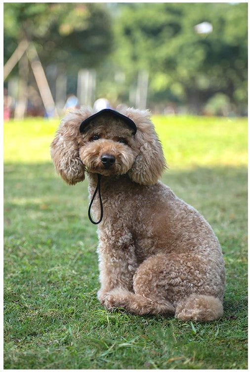 Honden Pet™ 2.0 - Bescherm de Ogen van je Hond!