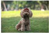 Honden Pet™ 2.0 - Bescherm de Ogen van je Hond!