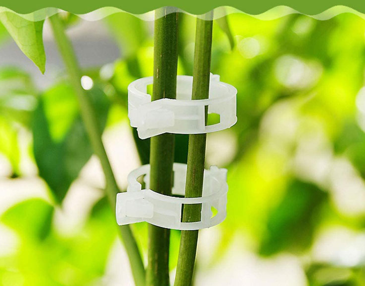 Planten Clips (50 of 100 Stuks)