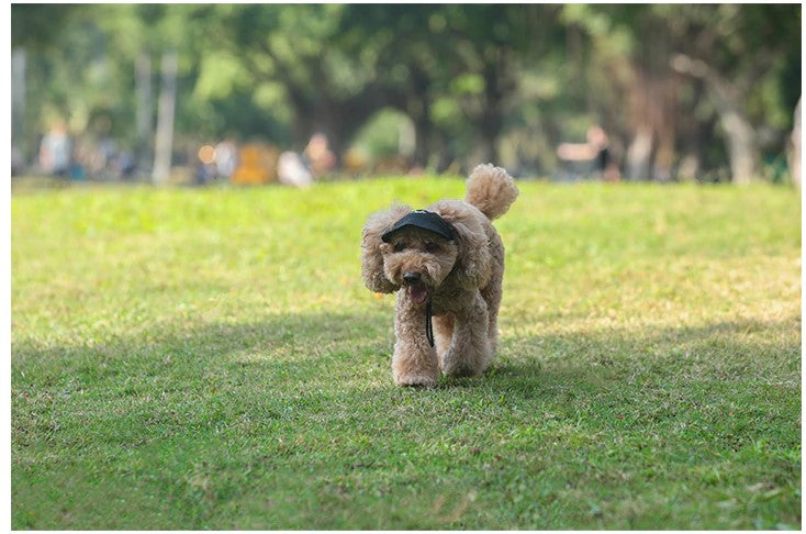 Honden Pet™ 2.0 - Bescherm de Ogen van je Hond!