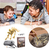 Archeologie Set - Een fantastisch kado voor ieder kind!