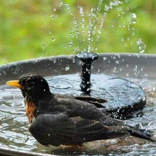 Zon-Fontein™ | Geweldig in iedere tuin!