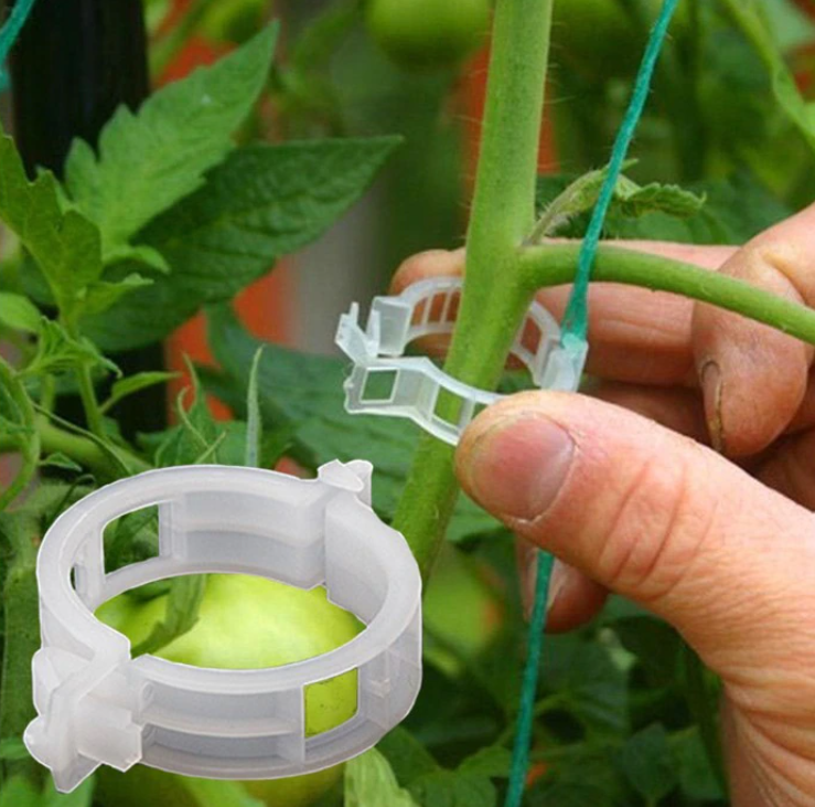 Planten Clips (50 of 100 Stuks)