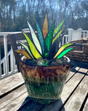Glas in Lood Planten Decoratie