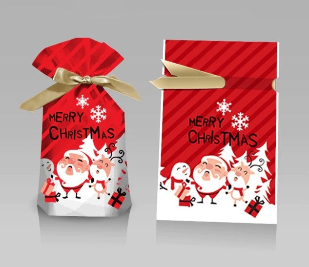 Kerst Kado Zakken (10 Stuks!)