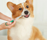 Dieren Medicijnen Voeder