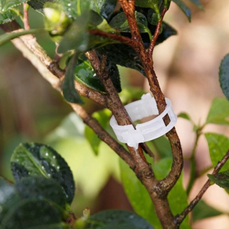 Planten Clips (50 of 100 Stuks)