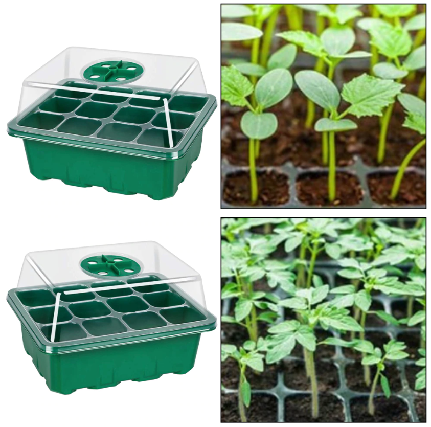 Mini Groei Kas (Voor Planten, Groenten, Fruit en meer!)