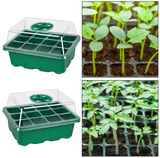 Mini Groei Kas (Voor Planten, Groenten, Fruit en meer!)
