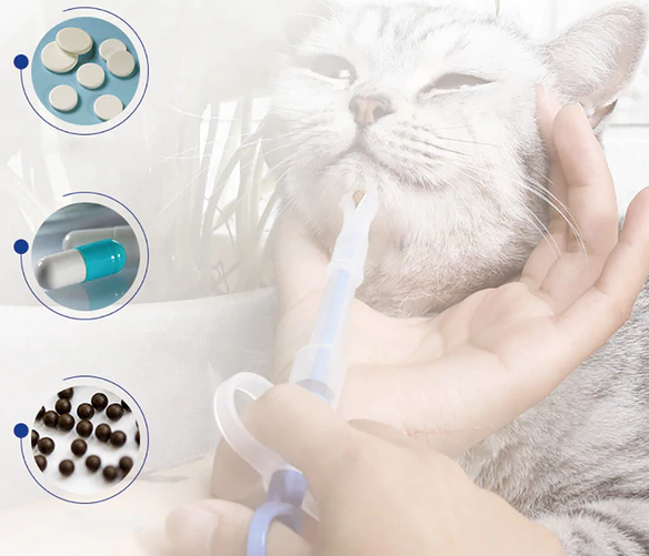 Dieren Medicijnen Voeder