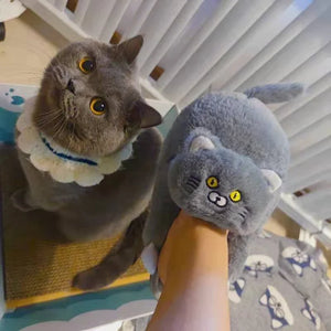 Schattige Katten Pantoffels