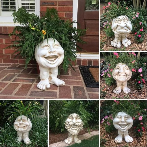 Gezicht Plantenpot