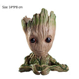 Groot Bloempot (2 Varianten)
