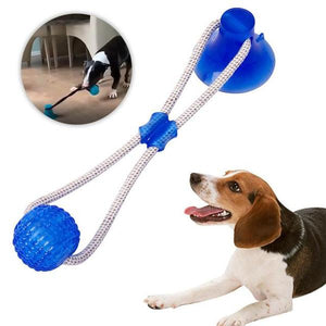 HONDENSPEELTJE MET ZUIGNAP 'PLAYDOG'