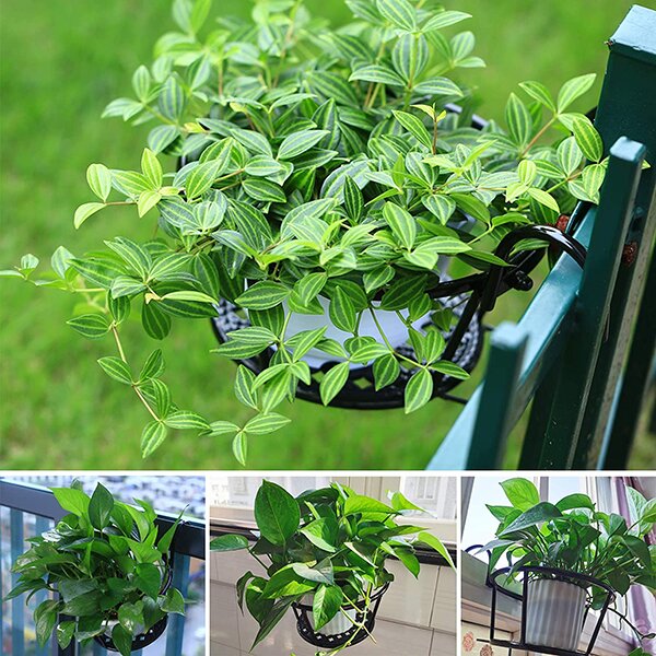 Prachtige Hangende Plantenhouders | Ideaal voor in de tuin of op het balkon!