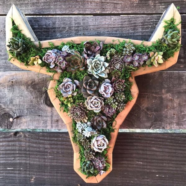 Groene Oase Houten Plantenbak
