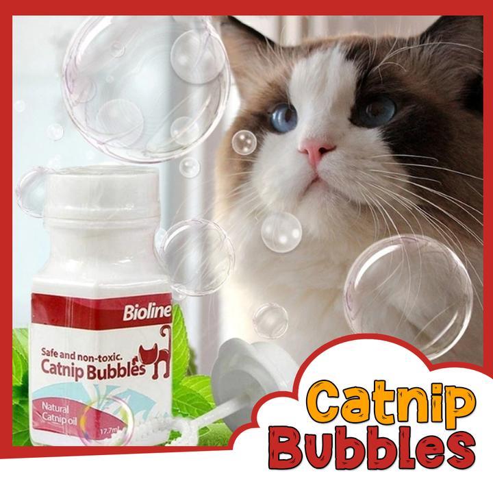 Kattenkruid Bellenblaas