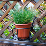 Prachtige Hangende Plantenhouders | Ideaal voor in de tuin of op het balkon!