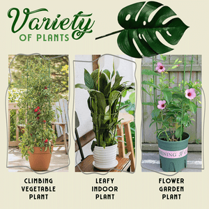 Afstelbaar Plantgroei Hulpmiddel | Voor mooie en sterke planten!
