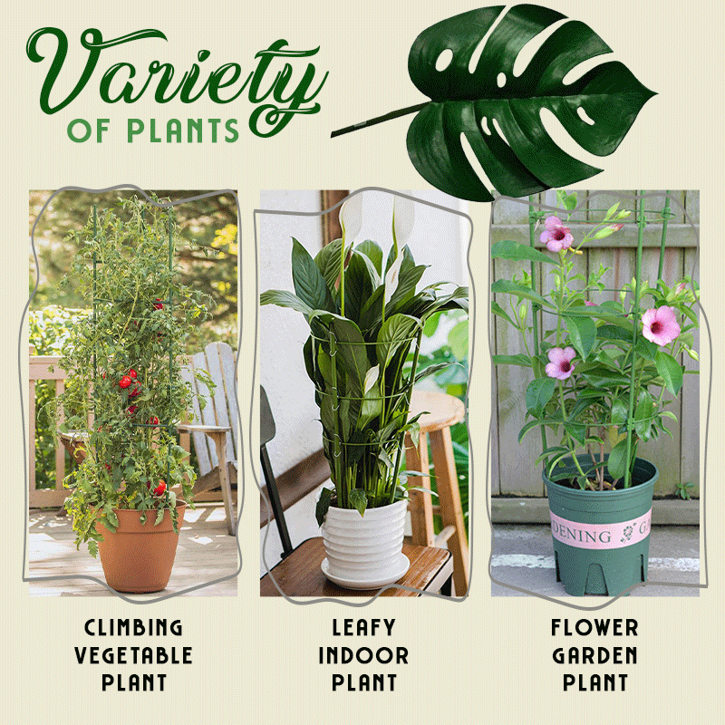Afstelbaar Plantgroei Hulpmiddel | Voor mooie en sterke planten!