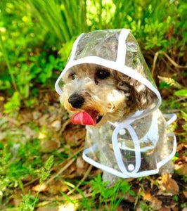 Honden Poncho™ - Houd je hond beschermd in de regen!
